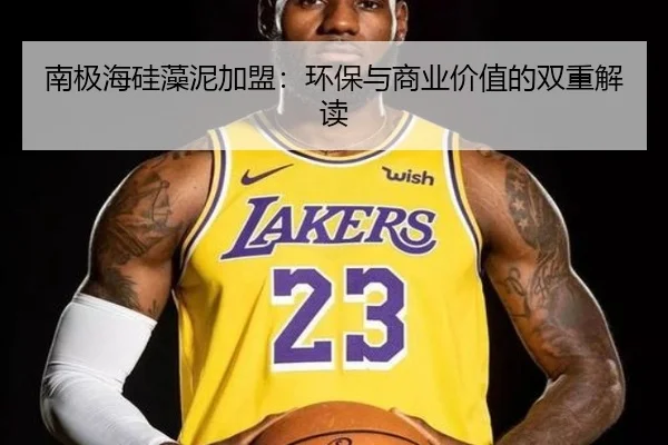 南极海硅藻泥加盟：环保与商业价值的双重解读