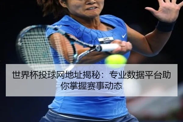 世界杯投球网地址揭秘：专业数据平台助你掌握赛事动态
